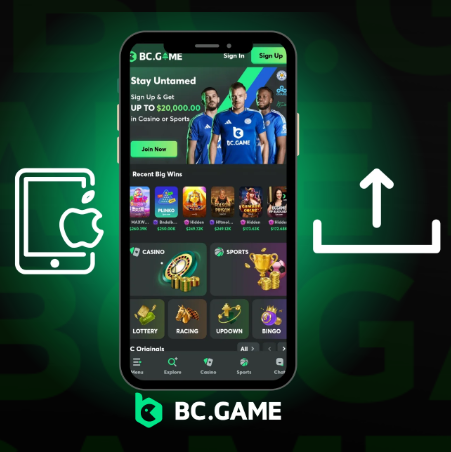 Bc.Game Redefining the Online Gaming Experience