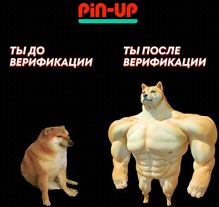 Pin-Up казино на телефоне — идеальное решение для игры на ходу